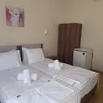 Anesis 3*