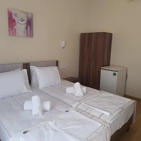 Anesis 3*