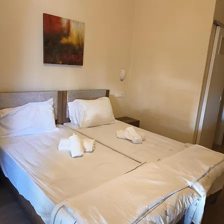 Hotel Anesis