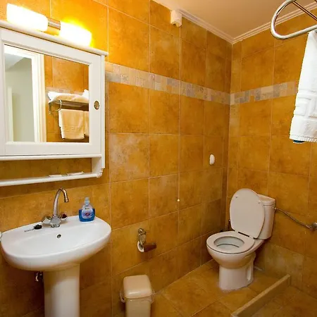 Hotel Anesis